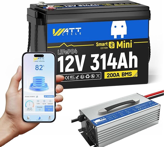 12V 314Ah Mini LiFePO4 Battery Bluetooth with 12V 60A Charger, 12Volt 300Ah + Lithium Batterys BMS 200A, 4.01kWh Energy, Upgraded Aluminum Cooling Fins & Braided Copper Wires