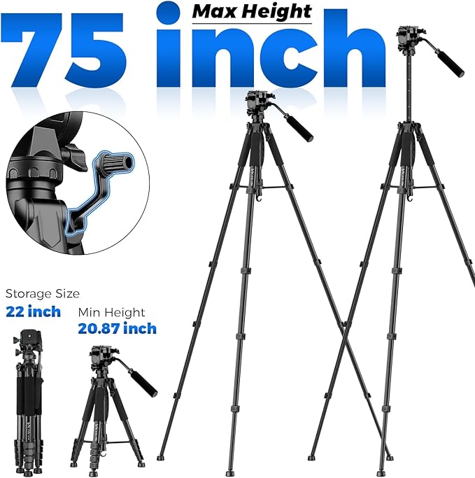 Camera Tripod, 75” Heavy Duty Tripod for Camera with Phone Holder and Travel Bag, Compatible with Video Camera, DSLR, Spotting Scopes, Camcorder, GoPro, Cell Phone, Max Load 16LB (Black)