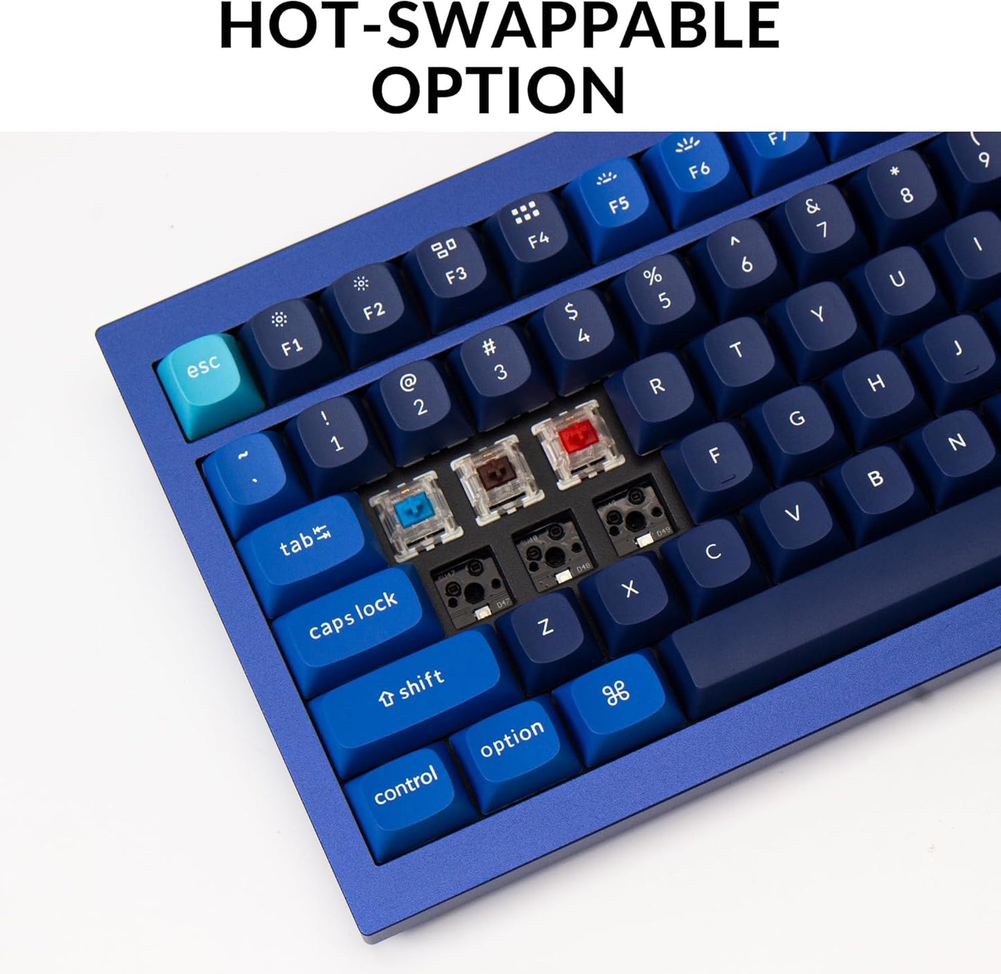 Keychron Q5 Wired Custom Mechanical Keyboard Knob Version, 96% Layout QMK/VIA Programmable Macro with Hot-swappable Gateron G Pro Blue Switch Double Gasket Compatible with Mac Windows Linux (Blue)