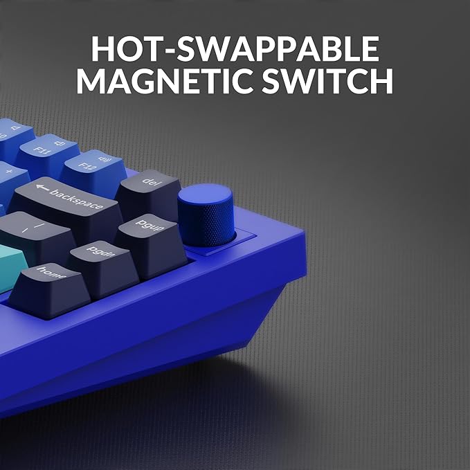 Keychron Q1 RGB Wired Custom Mechanical Keyboard, 75% Layout QMK/VIA Programmable Macro with Hot-swappable Gateron G Pro Blue Switch Double Gasket Compatible with Mac Windows Linux (Blue) -Version 2