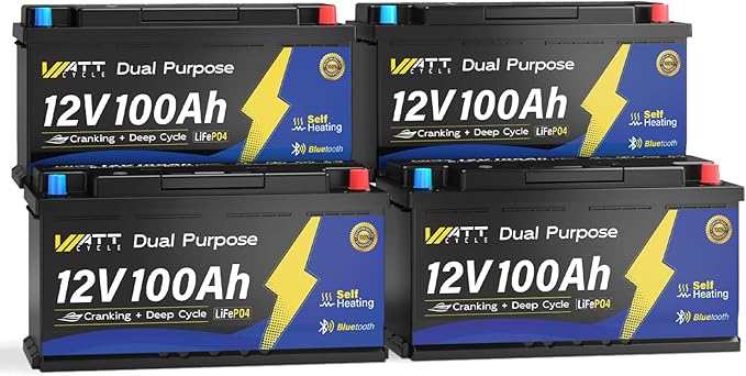 12V 100Ah Bluetooth LiFePO4 Battery, [Cranking &Deep Cycle] Lithium Battery with Self-Heating, Built-in 200A BMS, Perfect for Trolling Motor, RV, Marine, Boat(4 Pack)