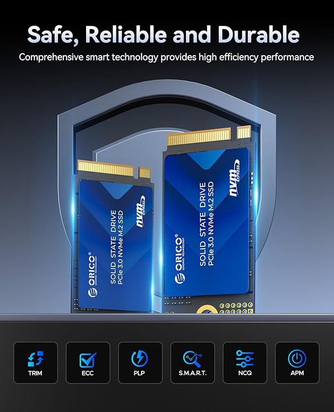 ORICO M.2 2242 NVMe SSD 256GB, PCIe 3.0 with 3200MB/s Read Speed, TLC NAND, Copper Heatsink for Laptops, Mini PCs, IoT Devices, and DIY External Drives - J10-2242