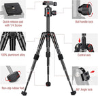 JOILCAN Mini Tripod for Camera, 21" Aluminum Desktop Tripod with 360° Ball Head, Portable Travel Tripods for DSLR Phone Projector, Load up to 15lb