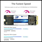 Dogfish NVMe SSD da 256 GB per MacBook PCIe Gen3x4 M.2 2280, SSD interno per MacBook Air A1466 A1465 (2013-2017)/MacBook Pro A1398 A1502 (Retina 2013-2015)/iMac A1419 A1418