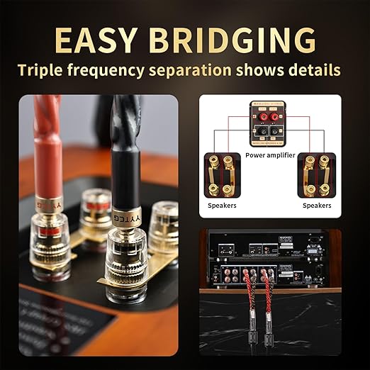 12 AWG Audiophile HiFi Speaker Audio Cable–4N OFC Core,24K Gold-Plated Banana Plugs with Nylon Braid,Compatible with Amplifier,Speakers,AV Receiver & Home Theater(9.84ft/3m) 2-Pack