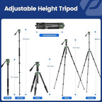 Fotopro 59" Carbon Fiber Travel Tripod, Compact Video Tripods with Fluid Head, Detachable Monopod with Quick Release Plate and Bag, Camera Tripod Load up to 8KG/17.63lbs, Green