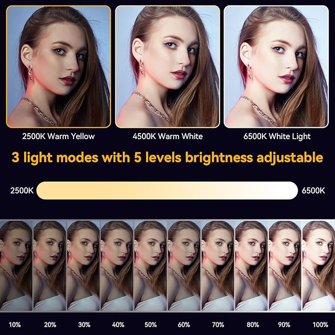 Mini Magnetic Phone Selfie Light Compatible with iPhone Magsafe, Clip on Pocket Light for Tablet Laptop Computer Zoom Video Call TikTok YouTube Video Recording Phone Filming Makeup