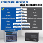 12V 50Ah LiFePO4 Battery, Built in BMS Rechargeable Lithium Battery with Low-Temp Protection, 4000+ Deep Cycles Perfect for Camping, Solar, Boat, Backup Power (2 Packs)