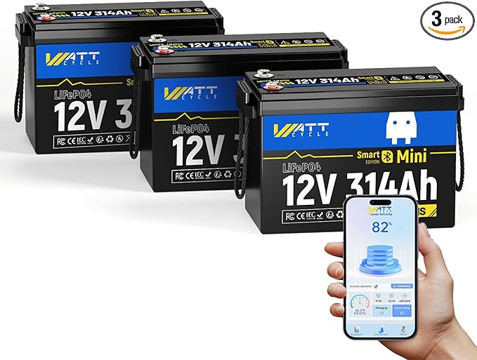 12V 314Ah Lithium LiFePO4 Battery Mini with Bluetooth 5.0 BMS 200A, 4.01kWh Energy, Upgraded Aluminum Cooling Fins & Braided Copper Wires, upporting devices over 2000W (3 PCAK)