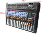 12 Channel Audio Mixer, DJ Soundboard Sound Mixer Console with Xlr, Line Inputs & 48V Phantom Power, Studio Audio Mixer KTV Sound Mixing Console for Professional and Beginners (12-Channel)