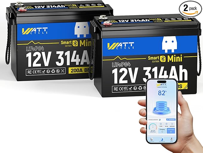 12V 314Ah Lithium LiFePO4 Battery Mini with Bluetooth 5.0 BMS 200A, 4.01kWh Energy, Upgraded Aluminum Cooling Fins & Braided Copper Wires, upporting devices over 2000W (2 PCAK)