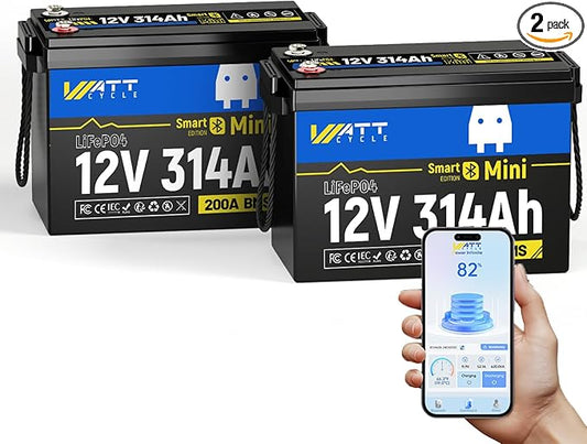 12V 314Ah Lithium LiFePO4 Battery Mini with Bluetooth 5.0 BMS 200A, 4.01kWh Energy, Upgraded Aluminum Cooling Fins & Braided Copper Wires, upporting devices over 2000W (2 PCAK)