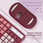 Wireless Keyboard and Mouse Combo, Lovaky 2.4G Full-Sized Ergonomic Keyboard Mouse, 3 DPI Adjustable Cordless USB Keyboard and Mouse, Quiet Click for Computer/Laptop/Windows/Mac (1 Pack, Rose)