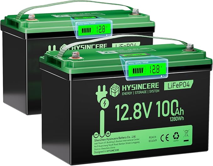 12V 100Ah LiFePO4 Battery BCI Group 31 Lithium Battery, Deep Cycle Battery with 100A BMS, 1280Wh Energy, Up to 15000 Cycles & 10-Year Lifespan for Trailer RV, Marine, Home Energy System-2 Packs