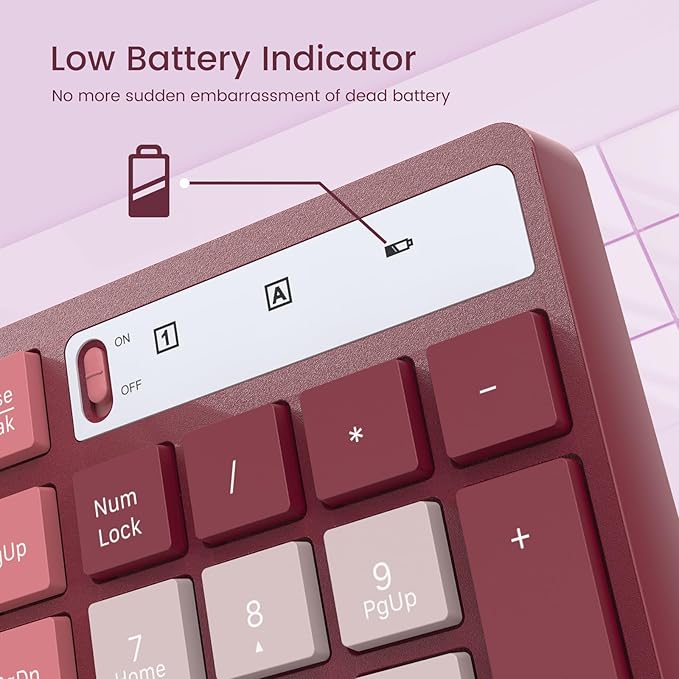 Wireless Keyboard and Mouse Combo, Lovaky 2.4G Full-Sized Ergonomic Keyboard Mouse, 3 DPI Adjustable Cordless USB Keyboard and Mouse, Quiet Click for Computer/Laptop/Windows/Mac (1 Pack, Rose)