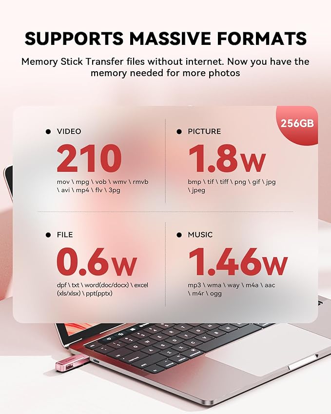 MFi Certified 256GB Flash Drive for iPhone Photo Stick, USB Thumb Drive Memory Stick High Speed USB Drive Photo Storage for iPhone Flash Drive Compatible for iPhone/iPad/Android/PC (Pink)