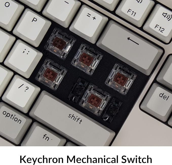 Keychron C2 Full Size Wired Mechanical Keyboard Compatible with Mac, Keychron Brown Switch, 104 Keys ABS Retro Color Keycaps Gaming Keyboard for Windows, USB-C Type-C Braid Cable