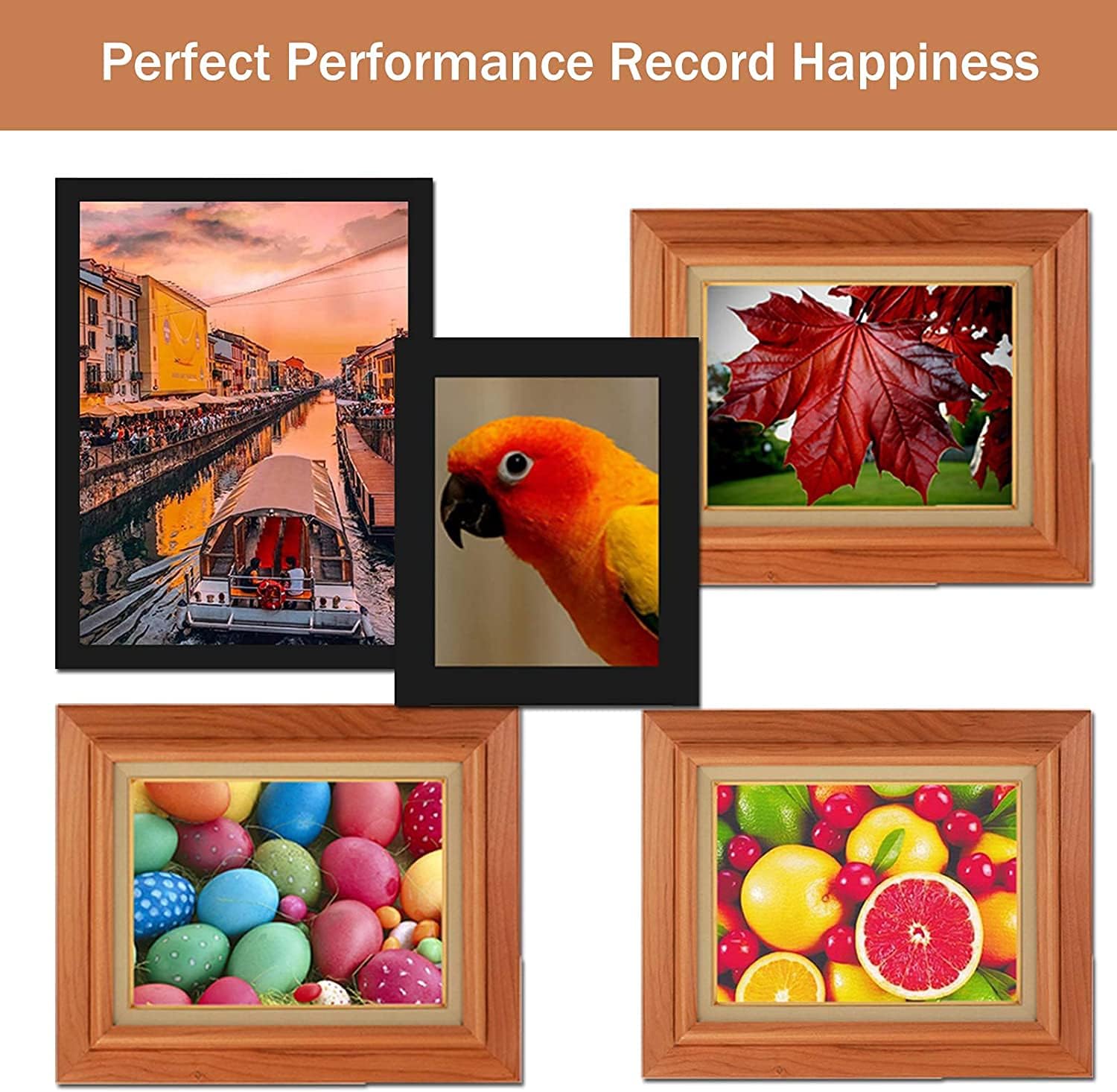 Joni MGToner Compatible TN221 TN-221 Toner Cartridge Replacement for HL-3140CW HL-3180CDW HL-3170CDW MFC-9130CW MFC-9340CDW MFC-9330CDW Printer (4 Pack, 1BK+1C+1M+1Y)