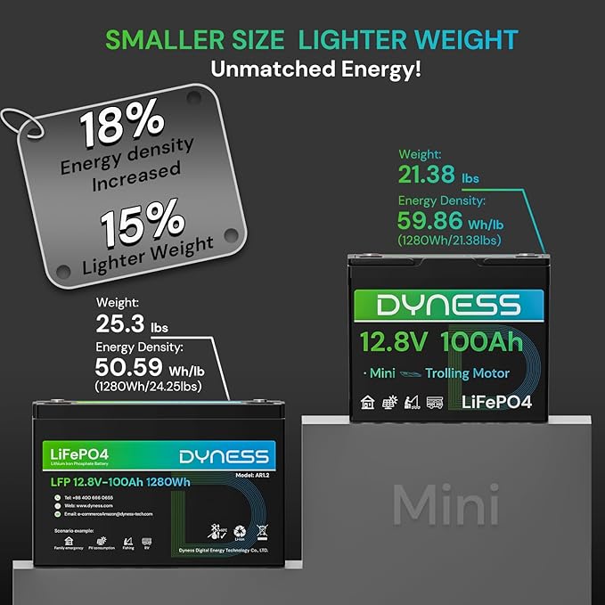 12V 100Ah Mini LiFePO4 Battery 2 Pack Group 24, 12 Volt Deep Cycle Lithium Battery with 100A BMS, Low-Temp Protection & 10 Years Lifespan for RV, Boat, Trolling Motor, Solar Off-Grid, Golf Cart