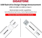 GIGASTONE 128GB Flash Drive (2 Pack) Z60 USB 3.2 Gen 1, 120MB/s Ultra Fast, Retractable Capless Slider Design, Data Storage, Backup for PC/Mac/TV/Car Audio, USB 2.0/3.0/3.1 Compatible