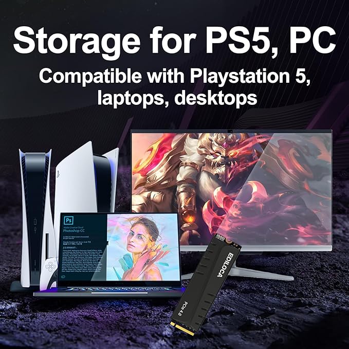 500GB PS5 SSD with Heatsink PCIe Gen4 NVMe M.2 Gaming SSD, 7400MB/s Read, 1GB DRAM Cache, 3D TLC | Internal Solid State Drive Compatible with PS5 & PC(EN855)