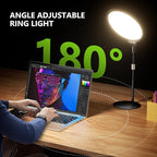 Aureday 10.5” Dimmable Desktop Ring Light with Stand and Phone Holder, 24W Full-Screen LED Ring Light for Desk, Video Conference Lighting for Laptop, Zoom Lighting for Computer, Live Stream, TikTok