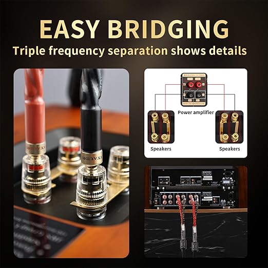 10 AWG Audiophile HiFi Speaker Audio Cable–4N OFC Core,24K Gold-Plated Banana Plugs with Nylon Braid,Compatible with Amplifier,Speakers,AV Receiver & Home Theater(8.20ft/2.5m) 2-Pack