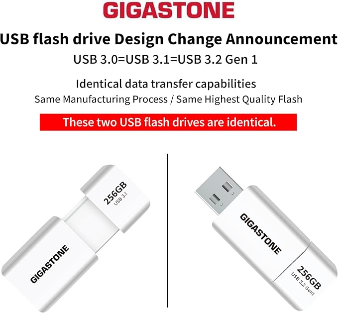 GIGASTONE 256GB Flash Drive (2 Pack) Z60 USB 3.2 Gen 1, 120MB/s Ultra Fast, Retractable Capless Slider Design, Data Storage, Backup for PC/Mac/TV/Car Audio, USB 2.0/3.0/3.1 Compatible