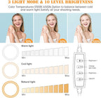 8 inch Desk Ring Light with Stand, Adjustable Computer Circle Light for Video Conference Lighting, Zoom Calls, Virtual Meeting, Video Recording, Selfie Light with Phone Holder for Streaming, Podcast