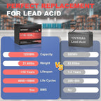 2 pack 12V 100Ah Mini LiFePO4 Lithium Battery,100A BMS 1280Wh BCI Group 24 Lithium Iron Phosphate Battery 6000+ Cycles Perfect for RV, Solar, Marine and Home Energy Storage