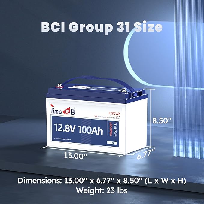 12V 100Ah Pro LiFePO4 Battery, 12 volt Lithium Battery with 100A BMS, Grade A Battery Cells, Up to 10 Years Lifespan, Perfect for RV, Trolling Motor, Off-grid Applications, Group 31