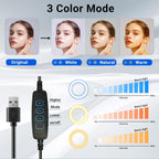 2-Pack LED Video Light with Stand, Home Studio Back Lights, Photo Lights with Color Filters for Close Photography Lighting YouTube Video Recording, Desk Game Steaming