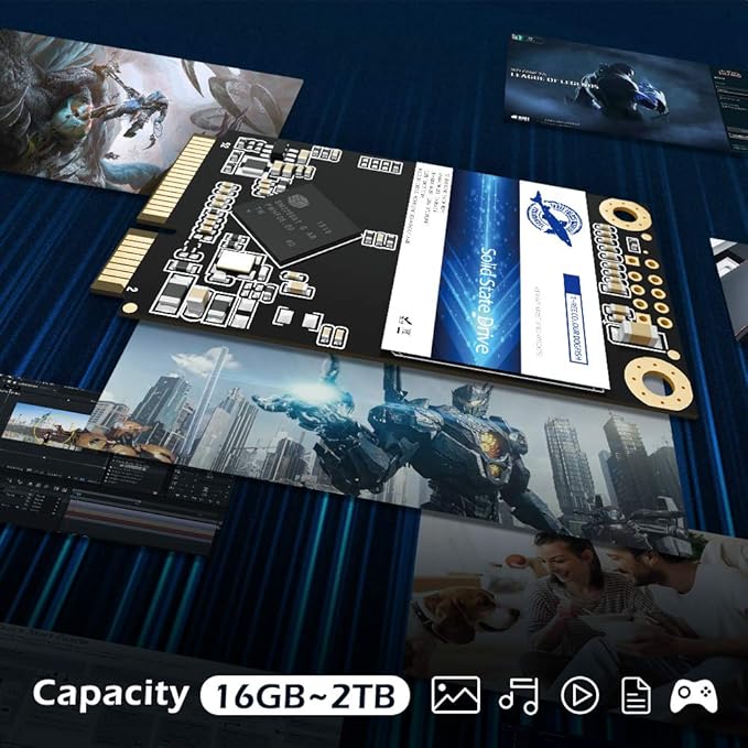 Dogfish Msata 32GB Internal Solid State Drive Mini Sata SSD Disk