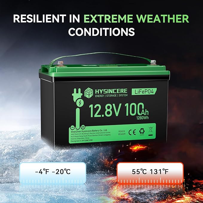 12V 100Ah LiFePO4 Battery BCI Group 31 Lithium Battery, Deep Cycle Battery with 100A BMS, 1280Wh Energy, Up to 15000 Cycles & 10-Year Lifespan for Trailer RV, Marine, Home Energy System-2 Packs