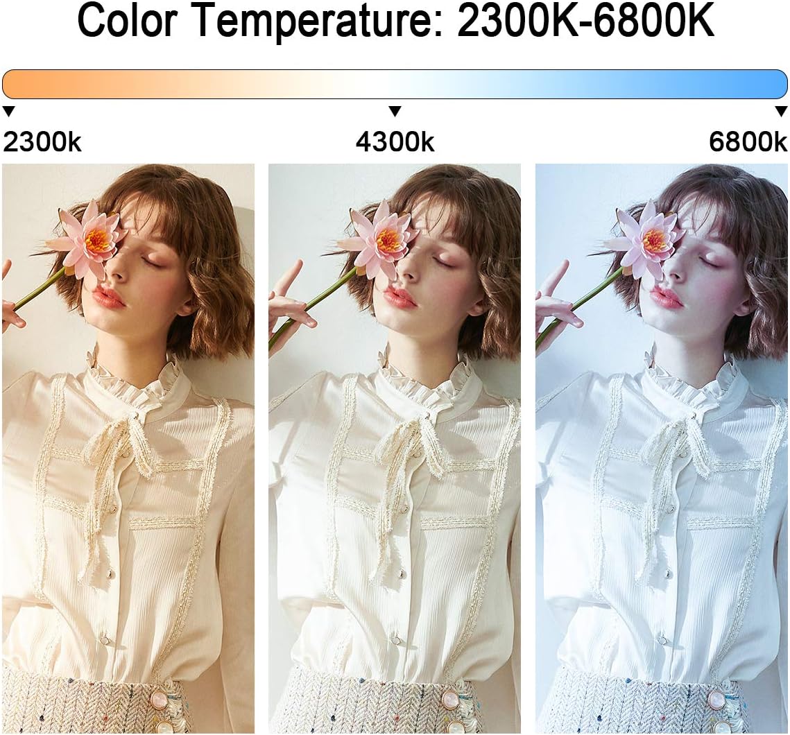 GVM 480 LED Video Light with Tripod, Dimmable 2300K-6800K LED Video Lighting with APP Control, SLED Photography Continuous Light for Studio Light for Studio YouTube Video Studio Set, Video Lamp