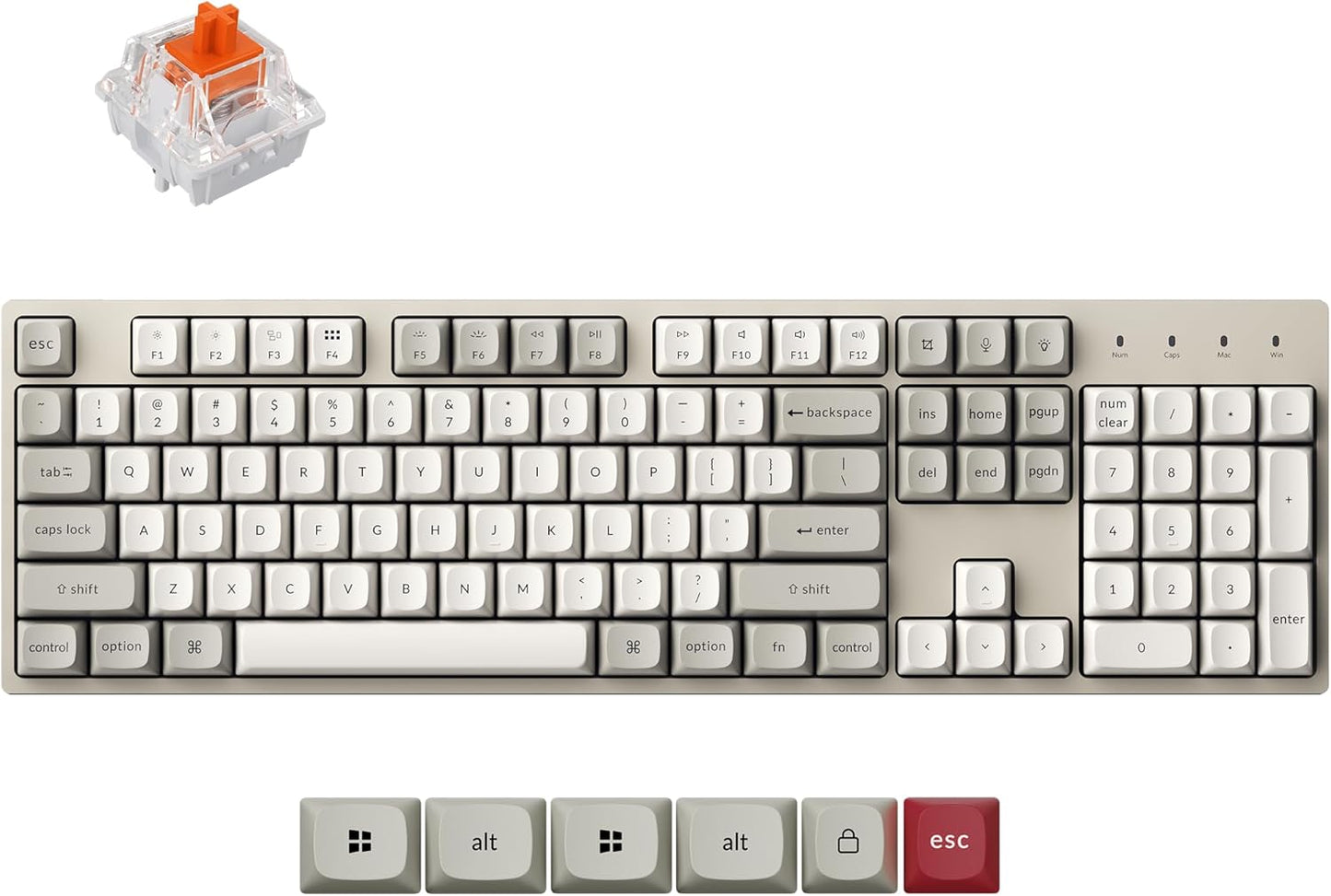 Keychron C2 Pro Wired Mechanical Keyboard with 8K Hz Polling Rate, Full Size Custom RGB Backlit Hot-Swappable, Non-Shine Through PBT Keycaps Compatible with Mac Windows Linux (Silent Red Switch)