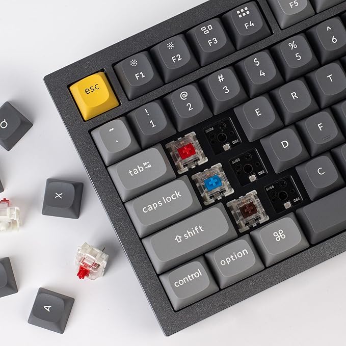 Keychron Q1 RGB Wired Custom Mechanical Keyboard Knob Version, 75% Layout QMK/VIA Programmable with Hot-swappable Gateron G Pro Blue Switch Double Gasket Compatible with Mac Windows Linux (Grey)