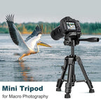 JOILCAN Mini Tripod for Camera, 25" Tabletop Camera Tripod, Portable Travel Tripod w/Phone & Tablet Holder, Lightweight Aluminum Tripods for DSLR Phone