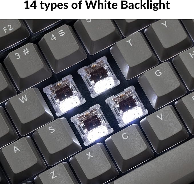 Keychron C2 Pro Wired Custom Mechanical Keyboard Full Size Layout QMK/VIA Programmable Macro White Backlit with Keychron K Pro Brown Switch OEM Profile Double-Shot PBT Keycaps for Mac Windows Linux