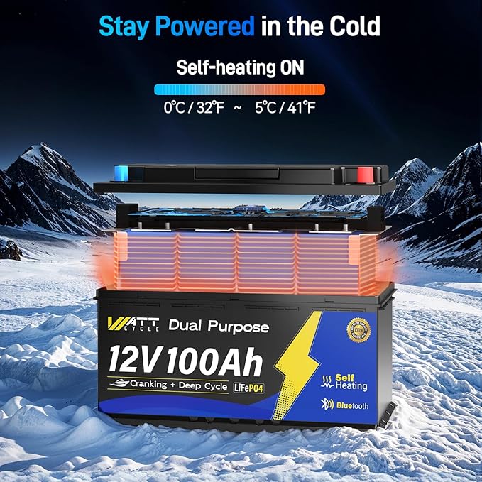 12V 100Ah Bluetooth LiFePO4 Battery, [Cranking &Deep Cycle] Lithium Battery with Self-Heating, Built-in 200A BMS, Perfect for Trolling Motor, RV, Marine, Boat(4 Pack)