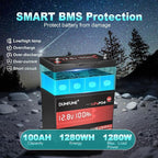 2 pack 12V 100Ah Mini LiFePO4 Lithium Battery,100A BMS 1280Wh BCI Group 24 Lithium Iron Phosphate Battery 6000+ Cycles Perfect for RV, Solar, Marine and Home Energy Storage