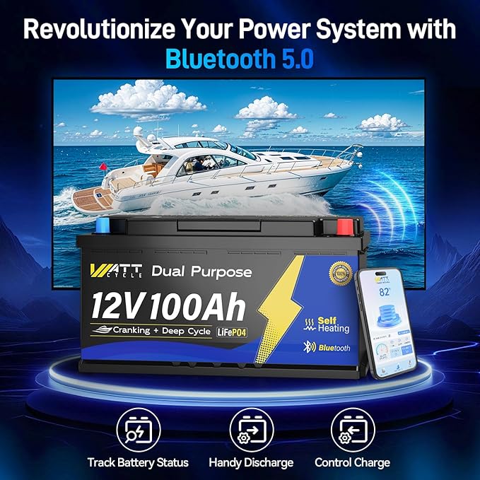 12V 100Ah Bluetooth LiFePO4 Battery, [Cranking &Deep Cycle] Lithium Battery with Self-Heating, Built-in 200A BMS, Perfect for Trolling Motor, RV, Marine, Boat(2 Pack)
