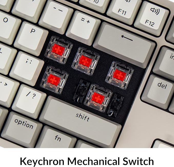 Keychron C2 Full Size Wired Mechanical Keyboard Compatible with Mac, Keychron Red Switch, 104 Keys ABS Retro Color Keycaps Gaming Keyboard for Windows, USB-C Type-C Braid Cable