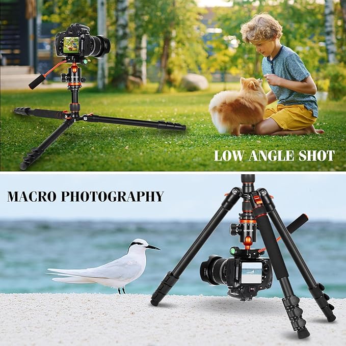 Camera Tripods & Projector Stand, 2 in1 Tripod for Camera with Removable Metal Tray, Heavy Duty Tripod for DSLR. Projector. Sheet Music and Tablet, Extra Metal Spikes and Carry Bag