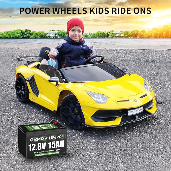 12V 15Ah Lithium Battery, Rechargeable LiFePO4 4000+ Cycles Rechargeable Battery Built-in 12A BMS for Scooter, Power Wheels, Fish Finder, UPS, Lighting and More