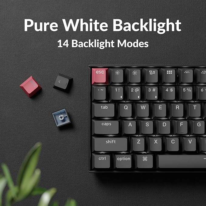 Keychron K2 75% Layout QMK Wireless and Wired Options Mechanical Keyboard Super Brown Switch, Paired with Shine-Through Double-Shot PBT Keycaps for Mac Windows-Version 3