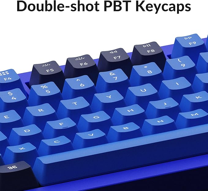 Keychron Q1 RGB Wired Custom Mechanical Keyboard, 75% Layout QMK/VIA Programmable Macro with Hot-swappable Gateron G Pro Blue Switch Double Gasket Compatible with Mac Windows Linux (Blue) -Version 2