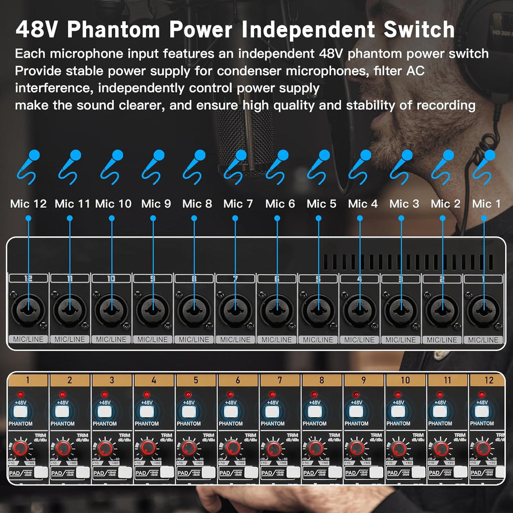 Professional Audio Mixer, 12 Channel Sound Board Mixing Console, Dual DSP Reverb Studio Mixer Board, Dual 7-Band EQ, 48V Phantom Power, 4 Group Stereo Output Input, PAD