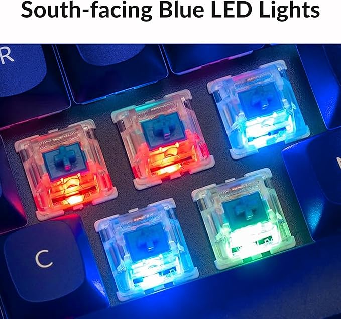 Keychron Q1 RGB Wired Custom Mechanical Keyboard, 75% Layout QMK/VIA Programmable Macro with Hot-swappable Gateron G Pro Blue Switch Double Gasket Compatible with Mac Windows Linux (Blue) -Version 2