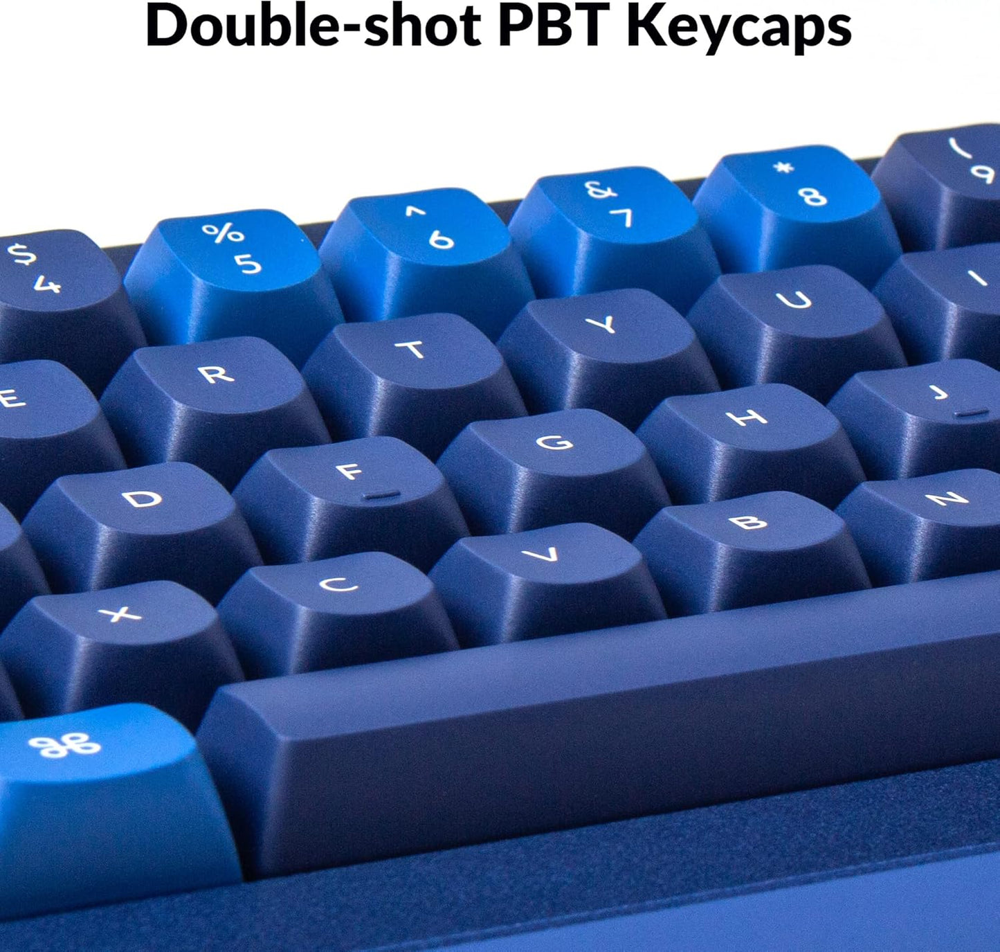 Keychron Q2 Wired Custom Mechanical Keyboard, QMK/VIA Programmable Macro, Full Aluminum, Hot-Swappable Gateron G Pro Red Switch, 65% Layout Double Gasket Compatible with Mac and Windows - Blue